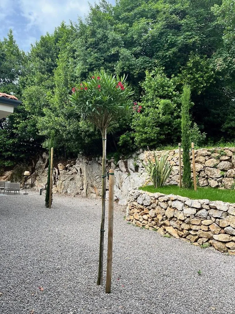 Villa St. Hedonist Poljane